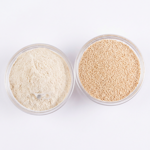 premium vegan yeast <b>isolate</b> <b>powder</b> for <b>protein</b> formulation and commercial food processing - Product Image 1