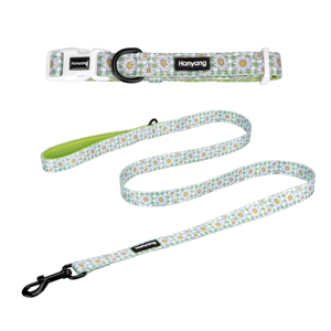 <strong>Pet</strong> <strong>Accessories</strong> New Designs Neoprene Padded <strong>Pet</strong> Dog Leash <strong>and</strong> Collar Set - Product Image 2