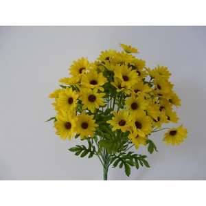 CRISANTEMO BUSH X24 45CM YL AUT - Product Image 1