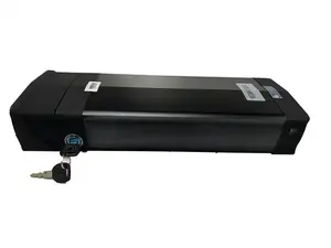 Yeni trendler 48v 50ah şarj edilebilir lityum pil elektrikli bisiklet gümüş balık e-tipi e-scooter elektrikli bisiklet E bisiklet pil - Product Image 4