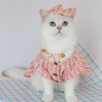 Tekstur Kotak-kotak Pink Elegan dengan Hiasan Mutiara dan Pinggiran Mengembang untuk Pakaian Hewan Peliharaan Kucing dan Anjing Kecil untuk Acara Formal