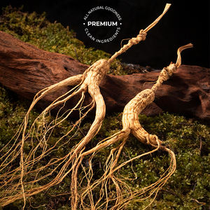 OEM энергетический бустер женьшеня энергетический напиток корейский красный экстракт женьшеня чай для женщин и мужчин корейский красный женьшень напиток - Product Image 4