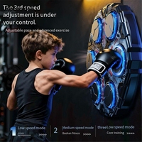 Système de sac de frappe mural pour enfants de 3 à 12 ans avec ventouse, batterie 1000 mAh, accessoires de boxe et de fitness