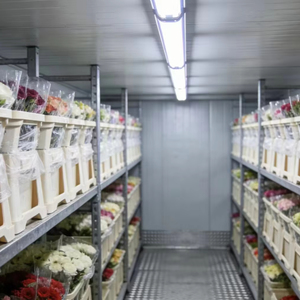 Chambre froide de 20 pieds pour supermarché, fleuriste, cave à bière, avec panneaux de 150 mm pour stockage et présentation - Product Image 2