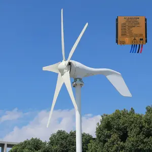 Summer Cool Goods 800W 12v 24v Mini Horizontal Wind Turbine Generator For Home Use