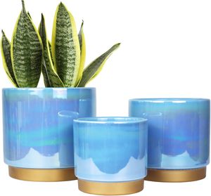 Grands pots à fleurs en céramique pour bonsaïs, idéaux pour bureaux et balcons - Design moderne et écologique, trou de drainage, légers - Vente directe - Product Image 1
