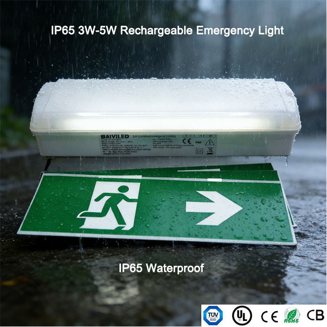 Wall Recessed Mounted IP65 Emergency Bulkhead Led Emergency Exit Light for Commercial Use
