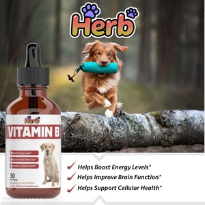 Gouttes quotidiennes de vitamine B pour chiens ODM/OEM - Utiles pour la santé et le cerveau - Product Image 2