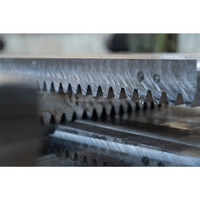 Lever de capsules de levage, ascenseur de marché, matériel de Construction, partie chinoise, monte 0-60 M/min