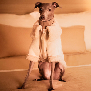 Chaqueta de perro de lujo personalizada Qiqu para galgos italianos <span class=keywords><strong>ropa</strong></span> cálida de invierno para mascotas nuevo diseñador estilo clásico hecho de poliéster - Product Image 5