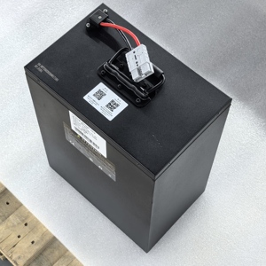 80A 고속 방전 BMS 내장 72V 50Ah LiFePO4 배터리 팩 (CG125용) - Product Image 1