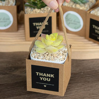 Sacs d'emballage de plantes succulentes en carton kraft autocollants de croissance petites boîtes-cadeaux succulentes mariage fête prénatale faveurs invités boîte à plantes