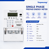 Medidor de Energía Monofásico Tepsung M-1201 IP54 Inteligente con Teclado de Prepago STS, Multitarifa/Antimanipulación/Limitación de Potencia