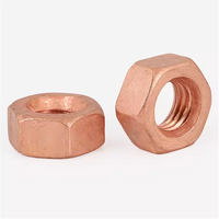M3 M4 M5 M6 M8 M10 M12 T2 Écrou hexagonal hexagonal en cuivre rouge massif Écrous conducteurs en bronze de silicone pour armoires de communication