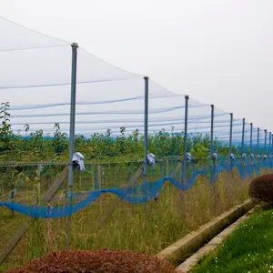 Filet anti-brouillard de protection contre les oiseaux 100% HDPE réutilisable robuste filet anti-oiseaux agricole