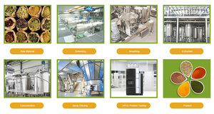 食品グレード有機野菜コリアンダーパウダー - Product Image 6