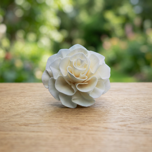 Plantes décoratives artificielles en bois de Sola blanc faites à la main de 8 cm, écologiques, pour mariage et décoration intérieure – Vente chaude - Product Image 2