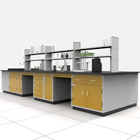 Meubles de laboratoire commerciaux en acier métallique pour écoles, type table de laboratoire commerciale et banc de laboratoire en îlot avec armoires