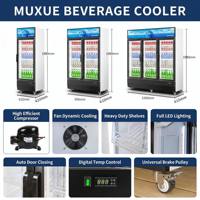 Lemari Pendingin Minuman Komersial Supermarket Vertikal dengan 2 Pintu & Lampu LED