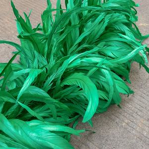 Venta barata blanqueada teñida colorida cola <span class=keywords><strong>de</strong></span> gallo pluma Boa <span class=keywords><strong>para</strong></span> fiesta danza actuaciones Decoración - Product Image 3