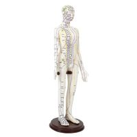 Modèle humain féminin jaune et blanc de 52 cm de hauteur avec points d'acupuncture anglais, en PVC souple, pour hôpital