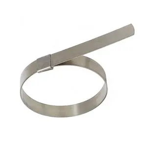 Collier <span class=keywords><strong>de</strong></span> serrage en acier inoxydable, pince <span class=keywords><strong>de</strong></span> poinçon central préformé - Product Image 1