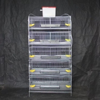 Nouvelle Cage d'élevage automatique de type H de qualité supérieure pour cailles et volailles, pour la production d'œufs