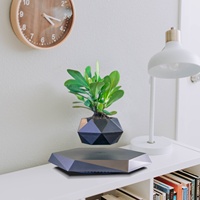 HCNT - Maceta Flotante Magnética de Levitación, Ecológica, Hexagonal, de Plástico ABS, Soporte para Plantas, Maceta Giratoria para Bonsái, Decoración para el Hogar