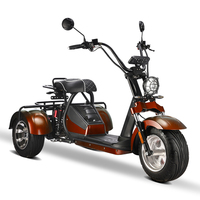 Nouveau Design 2025 – Tricycle Électrique Ouvert Citycoco avec Moteur 2000W, Batterie Amovible 60V20Ah, Certificat CEE/COC