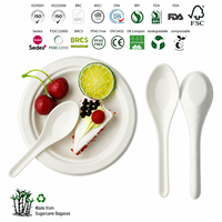 Ensemble de couverts jetables en bagasse de canne à sucre compostable sans PFA, fourchette, cuillère, couteau, vaisselle écologique