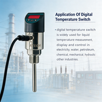 Controlador de Temperatura Digital Electrónico con Sensor PT100, Carcasa de Acero Inoxidable IP67, Personalizable OEM/ODM