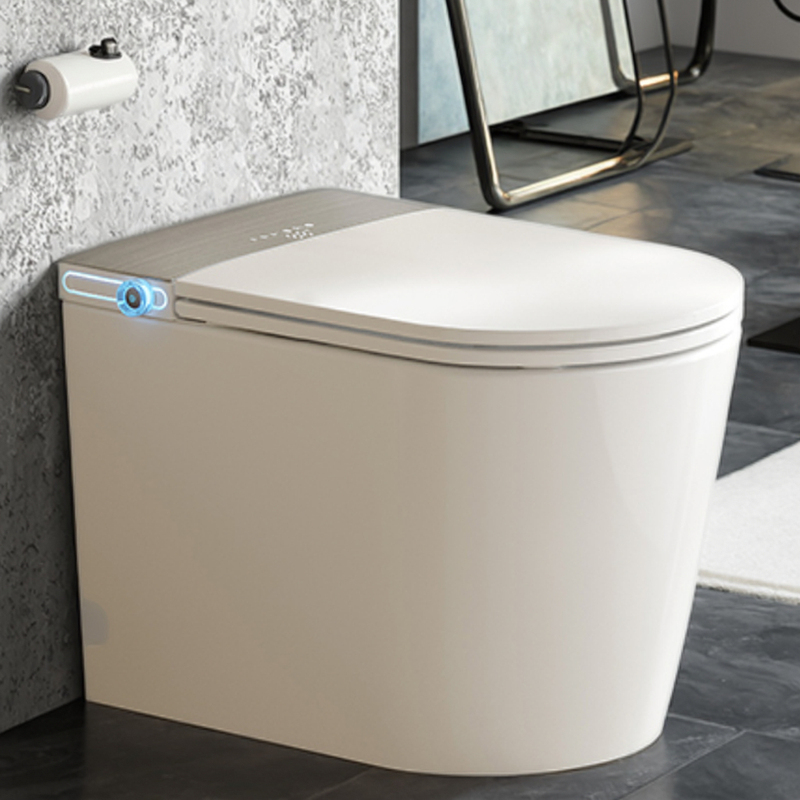 S024 Automatic Self clean Heated Seat