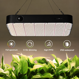 Lámpara <span class=keywords><strong>LED</strong></span> de Espectro Completo IP65 para Crecimiento de Plantas, 100-300W, Uso en Interiores, Construcción de Aluminio para Invernaderos y <span class=keywords><strong>Cultivo</strong></span> Agrícola - Product Image 1