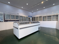 Congélateur commercial combiné en îlot de 270 L avec porte coulissante en verre incurvée, dégivrage automatique, congélateur profond pour supermarché, aliments surgelés