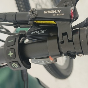 Bicicleta Eléctrica en Corea OEM/ODM Sidecar <span class=keywords><strong>Neco</strong></span> 29 Barata Australia Cuadro de Suspensión Completa Bicicletas Eléctricas para Adultos Dos Ruedas 3000w - Product Image 3