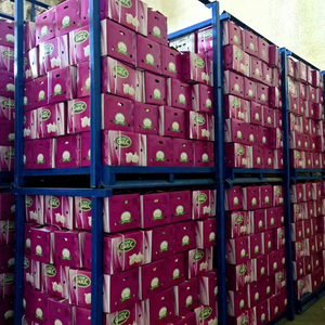 Ajo Blanco Congelado de China, Ajo Individual de Grado Alimenticio, Mayorista de Vegetales, Distribuidor de Ajo Chino, Proveedor de Exportación - Product Image 4