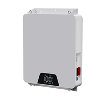 Baterai Lithium Ion 48V/51.2V 200AH 10KWH Bersertifikasi UL1973, Terlaris, Dapat Dipasang di Dinding, untuk Penyimpanan Energi Rumah Tangga
