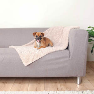 Couverture Douce 150 x 100 cm Beige pour Animaux de Compagnie – Chaleur Confortable - Product Image 2