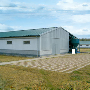<b>Prefab</b> <b>House</b> Steel Structure Fully Automated Poultry Chicken <b>House</b> for Chicken Layer <b>House</b> - Product Image 1
