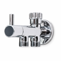 Katup Shower Anti-Panas Dinding Berbahan Kuningan Chrome dengan Dua Saluran Keluar