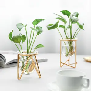 Modern İskandinav yaratıcı hidroponik cam tüp bitki vazo teraryum ile Metal standı