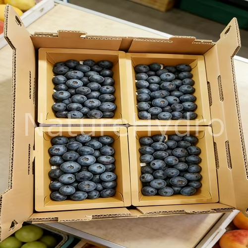 Modified Atmosphere Tray Les Barquettes En Carton Cardboard Heat Sealed Fresh Produce Paper Tray