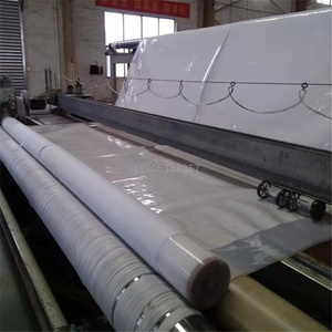 Pp Pe Pet Polyester Vải Địa Kỹ Thuật Polypropylene 400G 600G 800G Vải Địa Kỹ Thuật Không Dệt Và Màng Địa Kỹ Thuật Composite <span class=keywords><strong>Geomembrane</strong></span> - Product Image 2