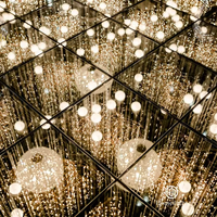 Panneau lumineux LED 16x16 pieds de haute qualité, miroir doré, effet ciel étoilé, pour piste de danse, idéal pour la location d'événements et de mariages