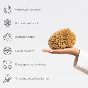 All'ingrosso, - Product Image 2