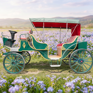 Véhicule de transport spécial pour mariage, chariot électrique de tourisme, calèche royale pour le tourisme et les mariages - Product Image 1