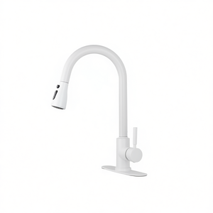 <b>Kitchen</b> Faucet Pull Out Spray <b>Plastic</b> Manual Operation For <b>Kitchen</b> Use - Product Image 1