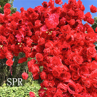 Fleurs artificielles SPR pour bouquets de mariée, décorations d'arches, murs floraux pour mariages, anniversaires, fêtes et événements spéciaux, à vendre à prix abordable
