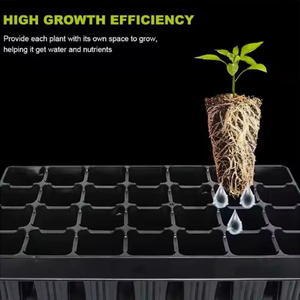 Venta Directa: Bandejas de Semillero Personalizadas de 50 Cavidades para Control de Raíces de Semillas de Hortalizas y Caja de Germinación de Suculentas - Product Image 4