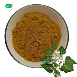 Campione libero 100% estratto di foglia di Dokudami organico naturale puro